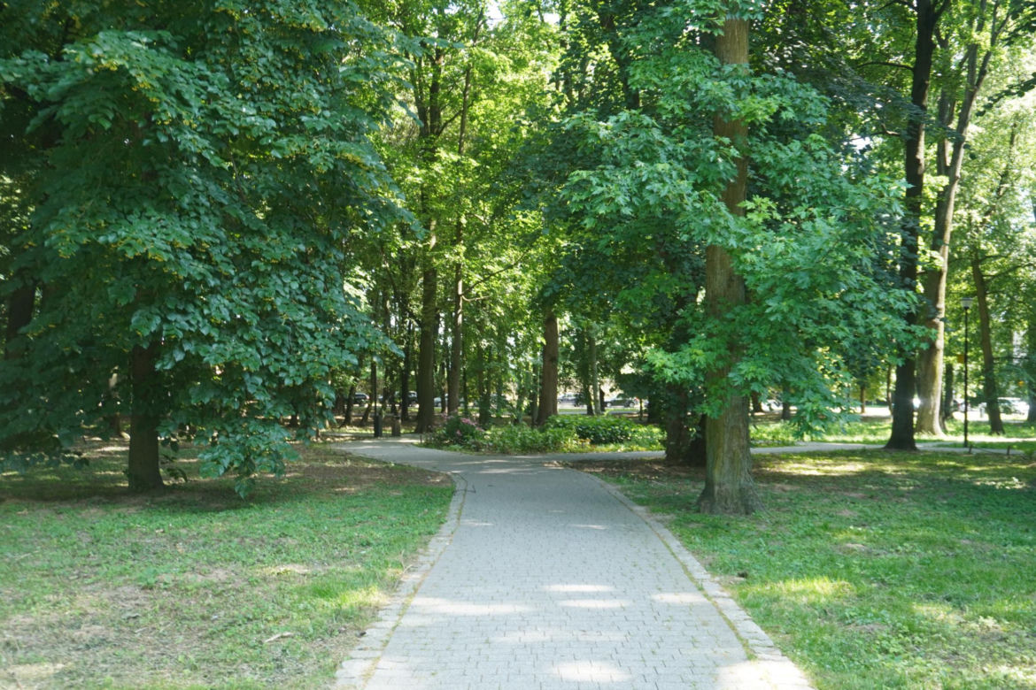 Park Miejski w Sandomierzu