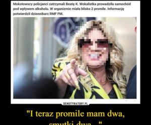 MEMY o Beacie Kozidrak
