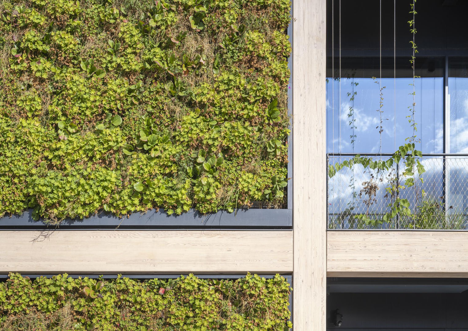 Budynek biurowo-administracyjny w kampusie CD PROJEKT RED