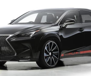 Lexus NX by Wald International