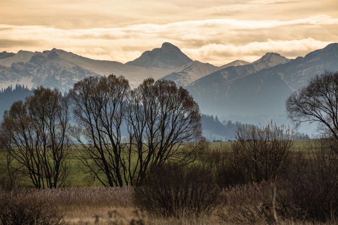Czarny Dunajec