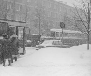 Zima stulecia w Polsce, Warszawa 1979 rok