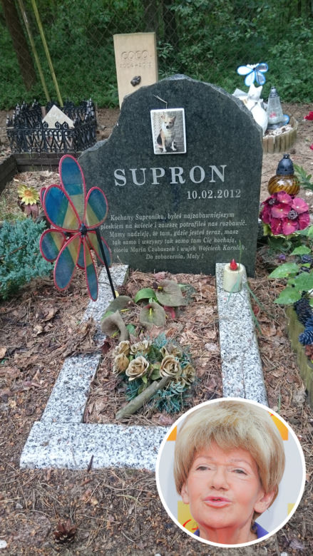 KOTULANKA ZAPOMNIAŁA O PUPILU.