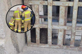 Ciekawski jeż w potrzasku. Z pułapki ratowali go strażacy. Jak on tam wlazł!?