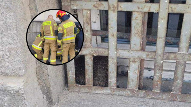 Ciekawski jeż w potrzasku. Z pułapki ratowali go strażacy. Jak on tam wlazł!?