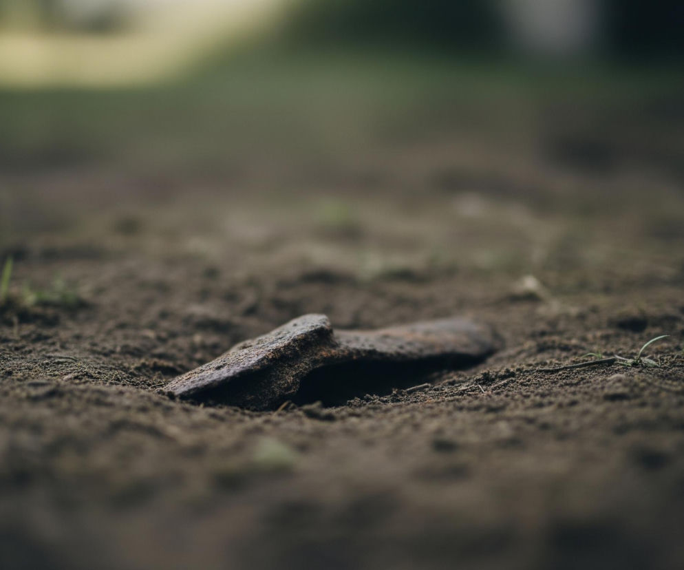 Na pierwszym planie, centralnie, leżą dwa płaskie, zardzewiałe kawałki metalu, częściowo zagłębione w brązowej ziemi. Są one nieregularne, chropowate i ciemnobrązowe z odcieniami rdzy. Wokół nich widać drobne grudki ziemi i pojedyncze, blade źdźbła zielonej trawy. Tło jest rozmyte, zdominowane przez nieostrą zieleń i ciemniejsze, niewyraźne kształty, sugerujące odległe rośliny lub krzewy.