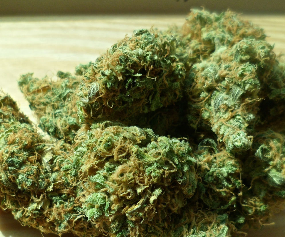 Marihuana trafiła w ręce policjantów