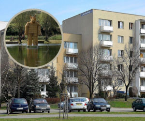 Stanisław Bareja to mistrz satyry. Czy rozpoznasz kultowe cytaty z jego najsłynniejszych filmów?