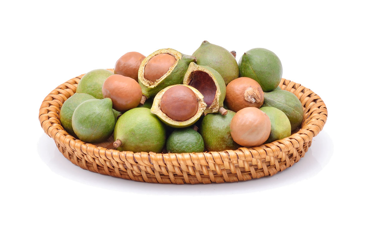 Orzechy makadamia
