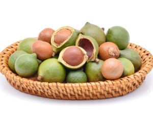 Orzechy makadamia
