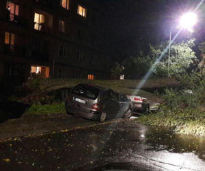 Orkan Ksawery nad Małopolską: Powalone drzewa, utrudnienia w ruchu [ZDJĘCIA, WIDEO]