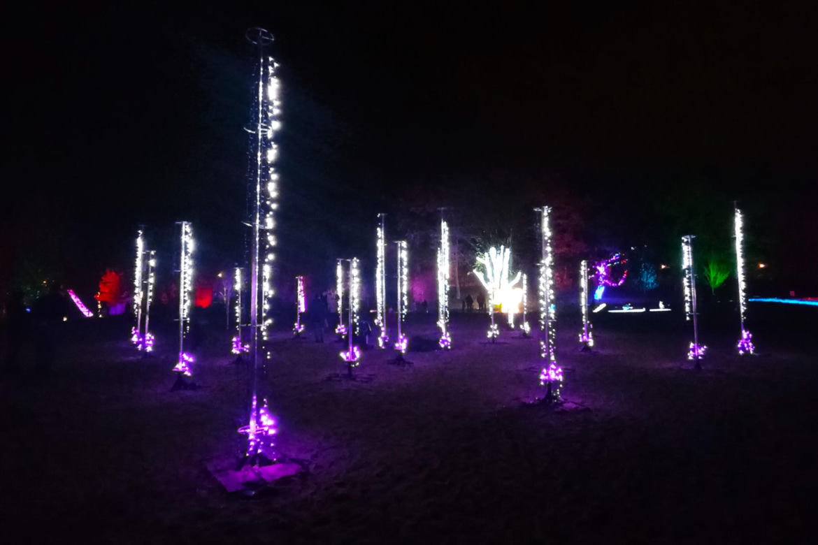 Garden of Lights w Szczecinie