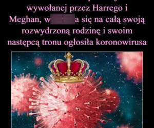 Meghan i Harry: Oprah Winfrey przeprowadziła z nimi wywiad. Ich słowa wywołały skandal. Zobacz najlepsze MEMY