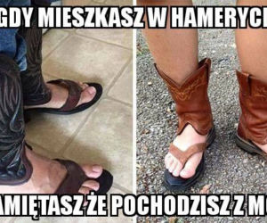 Najzabawniejsze memy o Podlasiu