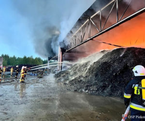 Pożar składowiska odpadów w Promniku (gm. Strawczyn)