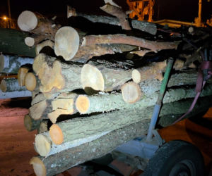 Koszmar na DK 50. 11-latka nie żyje. W auto wbiło się drzewo z ciągnika