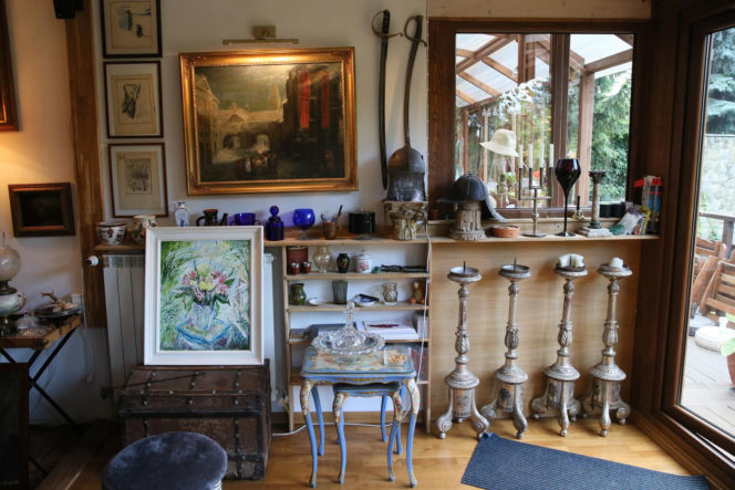 Koty Jarka nas terroryzują