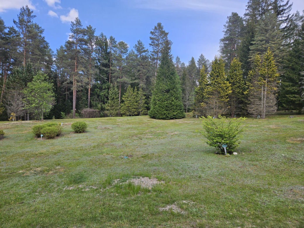 Kopna Góra