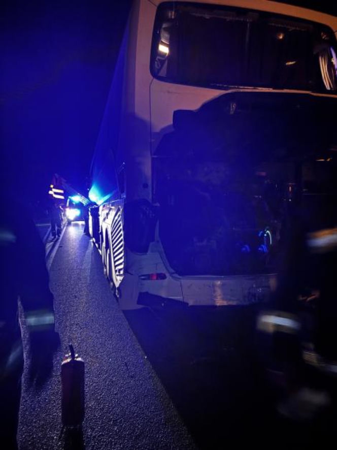 Autobus z pielgrzymami zderzył się z owcą, a gdy zatrzymał się na drodze, w jego tył uderzyła nadjeżdżająca ciężarówka