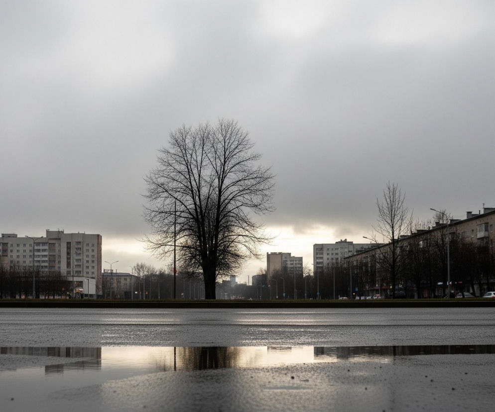 W centrum kadru, na tle zachmurzonego, szarego nieba, dominuje samotne, bezlistne drzewo o rozłożystej koronie, którego ciemna sylwetka jest wyraźnie zarysowana. Poniżej, na pierwszym planie, rozciąga się mokra, asfaltowa nawierzchnia z kałużami, w których odbijają się zamazane fragmenty otoczenia i nieba. Po lewej stronie widoczny jest pionowy słup z lampą uliczną, a po obu stronach drogi ciągną się rzędy niskich i wysokich budynków mieszkalnych o stonowanej kolorystyce, przeplatane pasem drzew o nagich gałęziach.