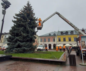 Bajkowa instalacja przed zamojski ratuszem
