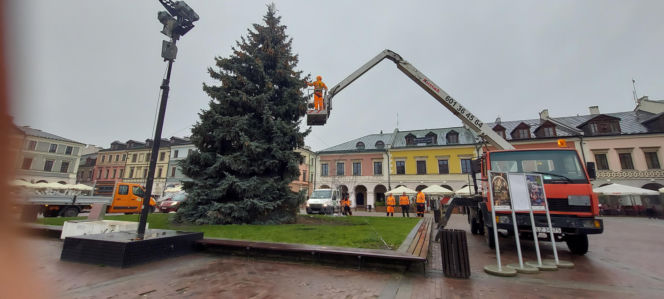 Bajkowa instalacja przed zamojski ratuszem