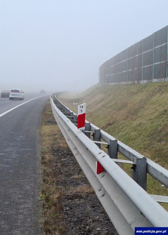 Napierki. Dwa przemoczone szczeniaki znalezione na S7. Uratowali je policjanci