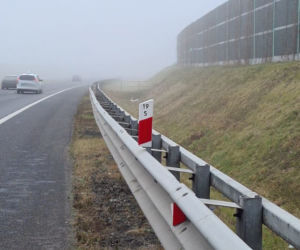 Napierki. Dwa przemoczone szczeniaki znalezione na S7. Uratowali je policjanci