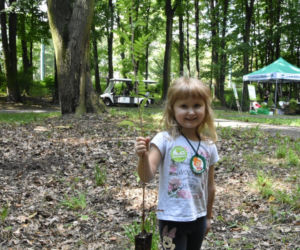 Park Śląski: AKCJA 1327 DRZEW