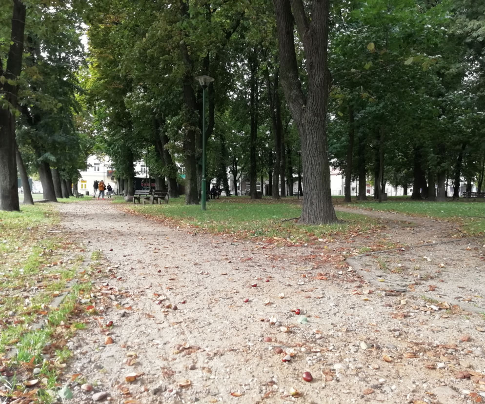 Park miejski w Grójcu