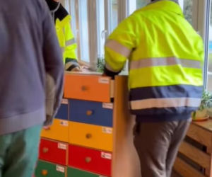 Przeprowadzka przedszkola 19