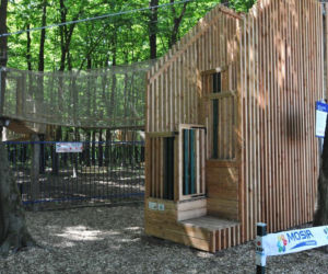 Park Linowy w Kraśniku