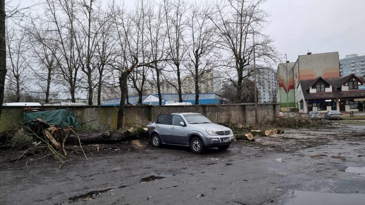 Powalone drzewa uszkodziły zaparkowane samochody