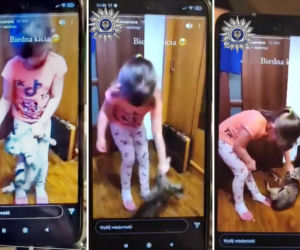 Białopole: 5-latka MALTRETUJE kota. Zachęcała ją opiekunka. Film trafił do sieci. HORROR!