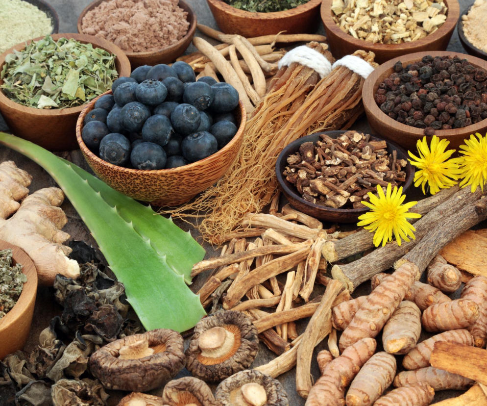 Shilajit czy ashwagandha? Jeden doda ci energii, drugi uspokoi. Zobacz, który wybrać