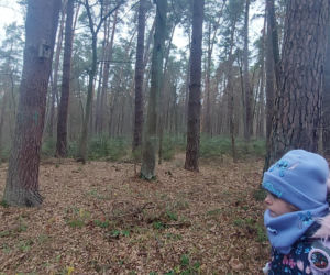 26. Rajd Mikołajkowy