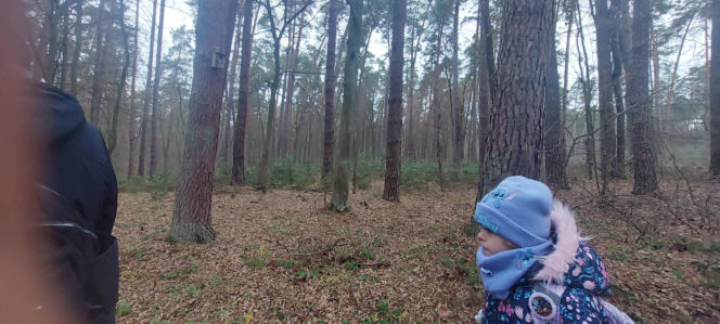 26. Rajd Mikołajkowy