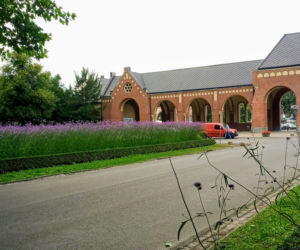 Tysiące wyjątkowych kwiatów ozdobiły największy cmentarz w Polsce