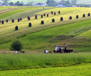 ciągnik