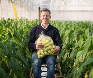 Majątek Petera Magyara. Nieruchomości, akcje i oszczędności w euro