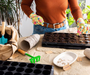 Kalendarz siewu warzyw na rozsadę – dokładny terminarz dla ogrodników