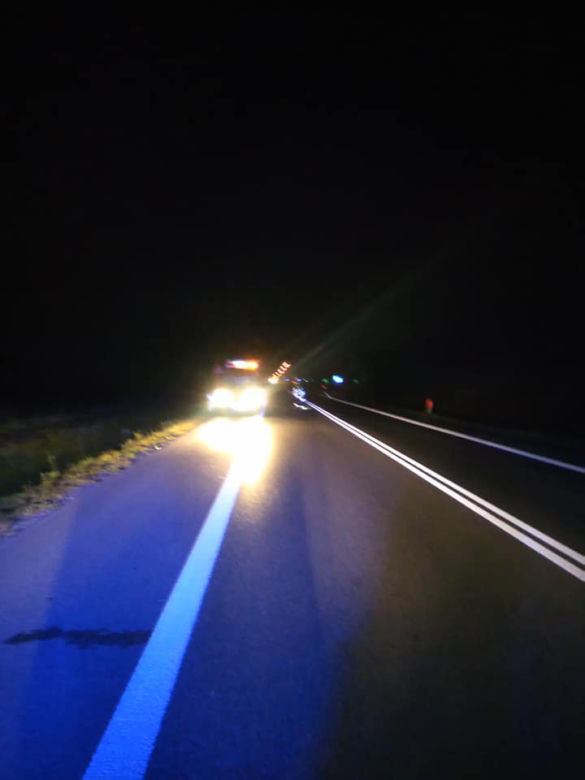 Motocyklista zderzył się z łosiem