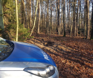 Wyrzysk: Ukradł sejf i zakopał go w lesie! W środku był spory majątek