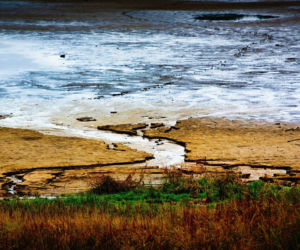Rekordowo niski poziom wody w zalewie Brodzkim. Remont tamy i jazu Staszica w Brodach