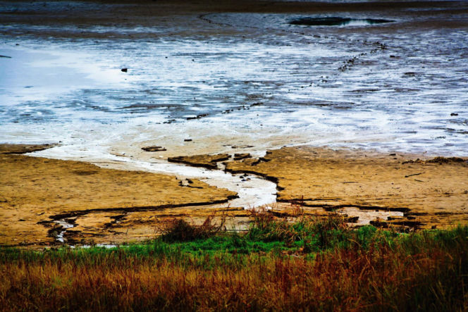 Rekordowo niski poziom wody w zalewie Brodzkim. Remont tamy i jazu Staszica w Brodach