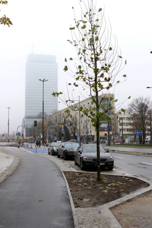 Zabrali miejsca parkingowe i zwęzili ulicę by zrobić ścieżkę rowerową. Biorą się za kolejne ulice