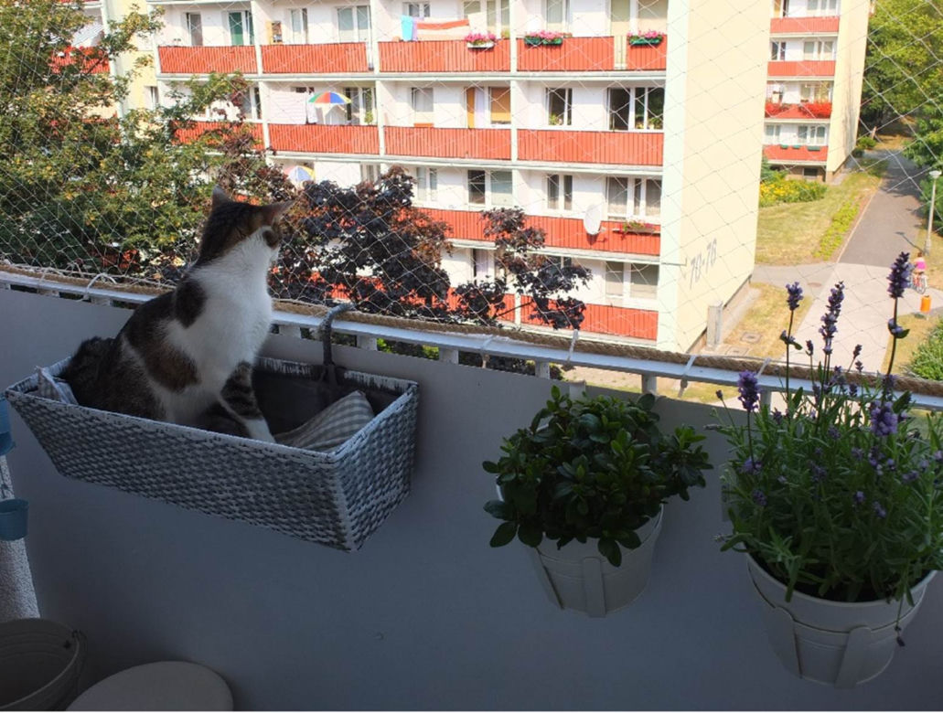 Mały balkonik zdjecie nr 2