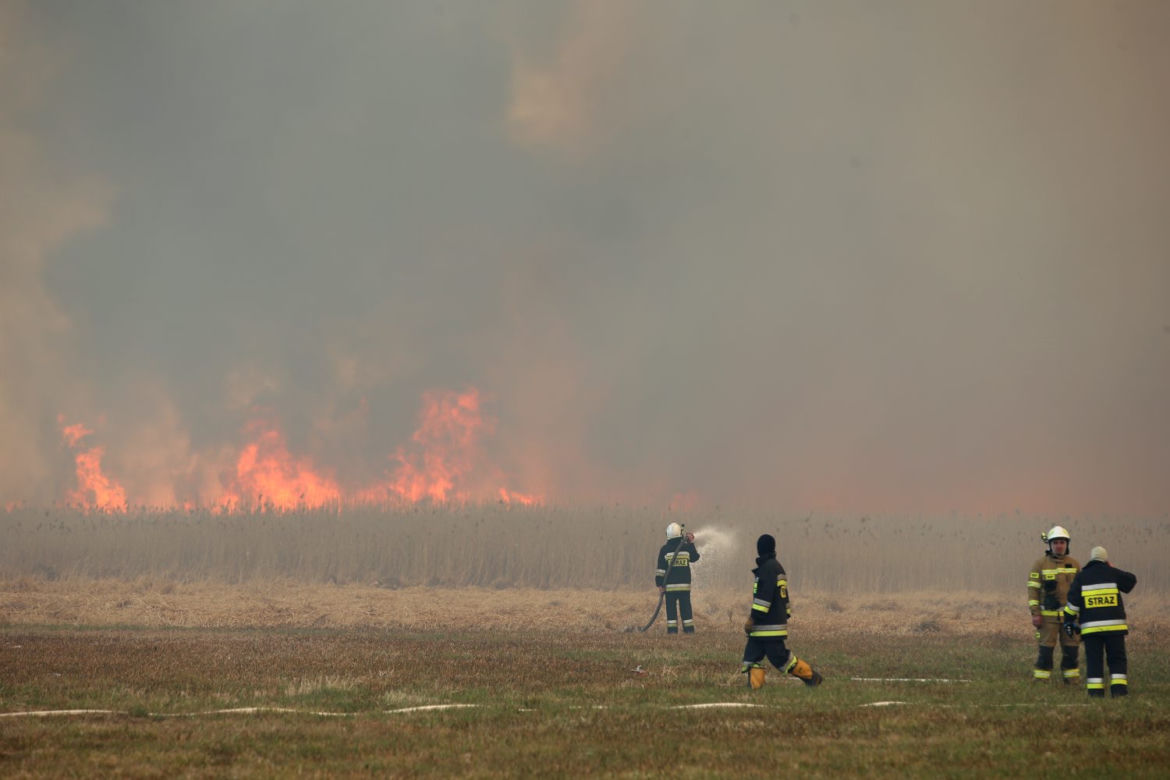 Pożar w Biebrzańskim Parku Narodowym