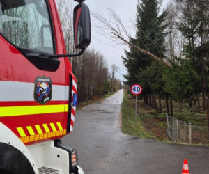 Powiat siedlecki: liczne interwencje strażaków w związku z wichurą
