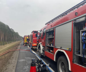 Pożar na obwodnicy w Toruniu. Płonęło auto